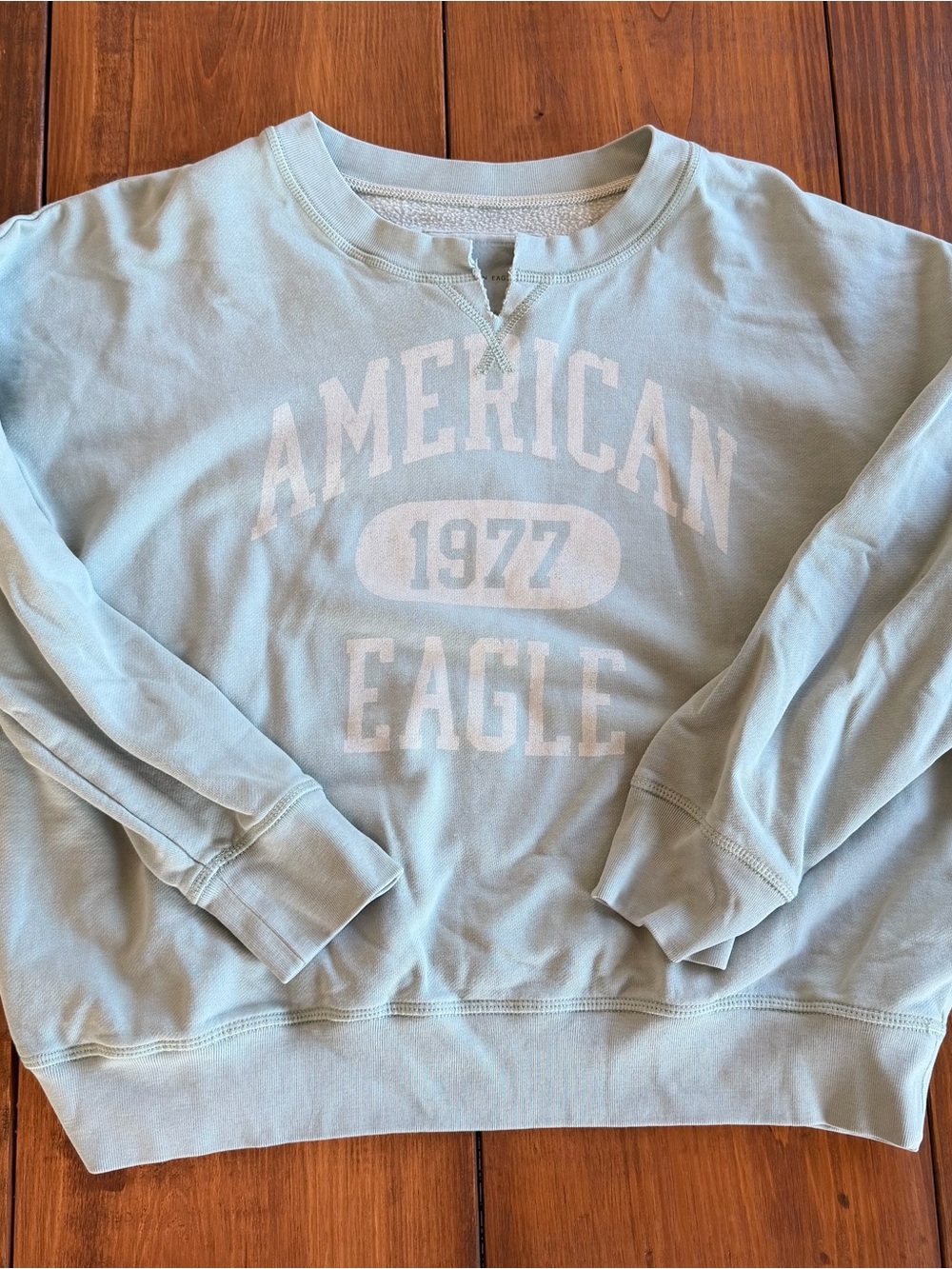 American Eagle Outfitters Pale Blue Graphic Crew Sweatshirt
